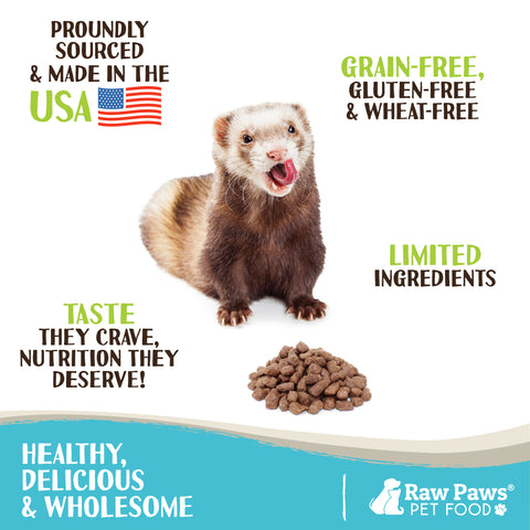 Freeze Dried Pet Food for Ferrets - Beef Recipe, 16 oz