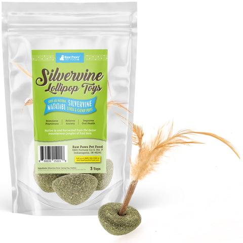 Natural Catnip Lollipop Feather Cat Toys, 3-ct