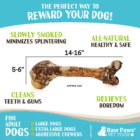 Monster Smoked Beef Femur Bones for Dogs, 1 ct