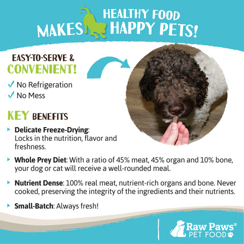 Freeze Dried Pet Food for Dogs & Cats - Beef Recipe, 16 oz