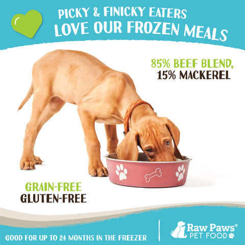 Signature Blend Pet Food for Dogs & Cats - Beef & Mackerel Recipe, 1 lb