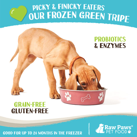 Signature Green Beef Tripe for Dogs & Cats, 1 lb