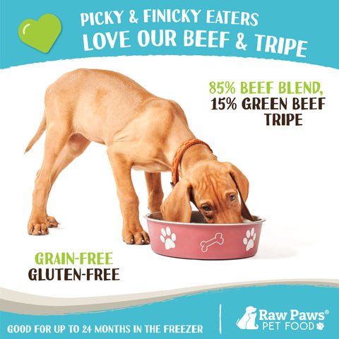 Signature Blend Pet Food for Dogs & Cats - Beef & Green Tripe Recipe, 1 lb