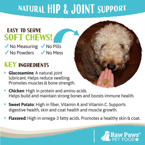 Hip & Joint Treats for Dogs, 10 oz