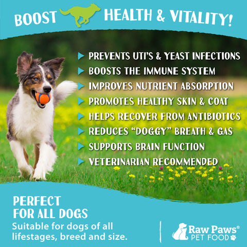 Probiotic & Prebiotic Treats for Dogs, 10 oz